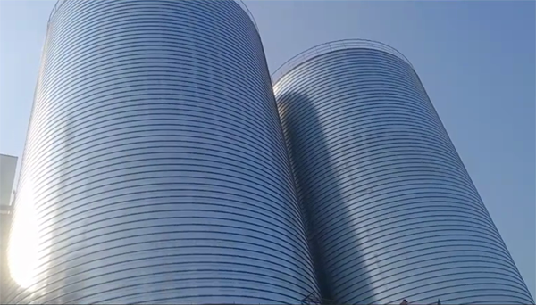 霞浦2座混凝土高架卷板仓